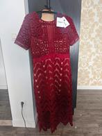 Nieuwe jurk Antwerp Essential maat 40, Ophalen of Verzenden, Nieuw, Maat 38/40 (M)