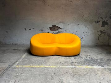 Ligne Roset Pumpkin Canape sofa