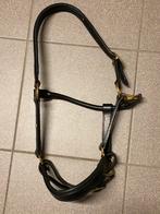 Halster zwart leder maat Full, Dieren en Toebehoren, Ophalen, Zo goed als nieuw