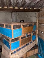 Duivenmanden GRATIS mee te nemen, Dieren en Toebehoren, Vogels | Duiven, Overige soorten