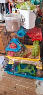 Hamsterkooien met toebehoren, Kooi, Zo goed als nieuw, Hamster, 75 tot 110 cm