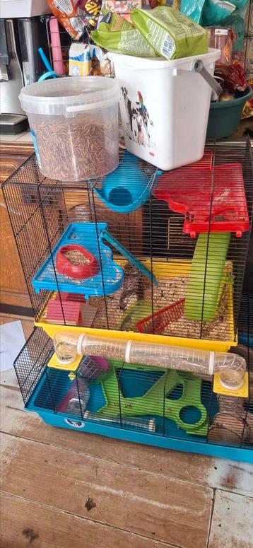 Hamsterkooien met toebehoren beschikbaar voor biedingen