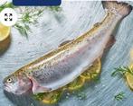 forel gezocht, Watersport en Boten, Hengelsport | Zeevissen, Ophalen, Zo goed als nieuw