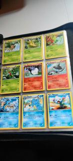 Pokémon Plasma Freeze Set kaarten ENG / FR - 2013, Ophalen, Zo goed als nieuw, Meerdere kaarten