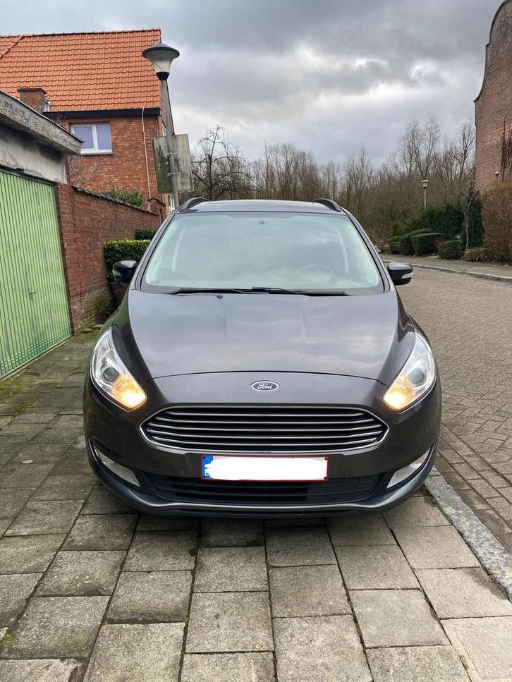 Ford Galaxy 2016, Auto's, Ford, Bedrijf, Galaxy, Ophalen