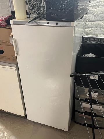 Vriezer Zanussi beschikbaar voor biedingen