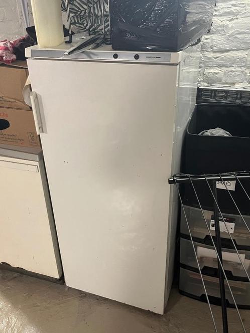 Vriezer Zanussi, Elektronische apparatuur, Vriezers en Diepvrieskisten, Gebruikt, Tussenbouw, Vrieskast, 140 tot 160 cm, Minder dan 60 cm