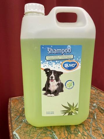 Shampoo voor honden 