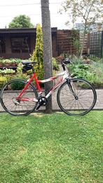 Dames sportfiets merk ridley triton, Ophalen, Gebruikt