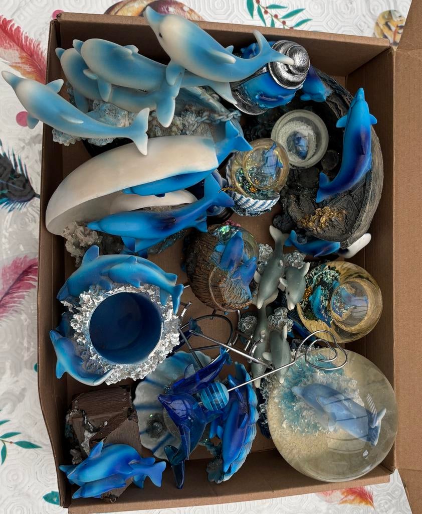 Lot de différents dauphins, Enlèvement