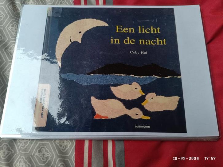 Een licht in de nacht (Coby Hol), Livres, Livres audio & Audiolivres, Enlèvement