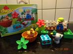 DUPLO Bos Eenden - 10581*VOLLEDIG*PRIMA STAAT*, Ophalen of Verzenden, Complete set, Duplo