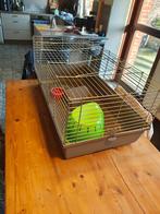 Kooi voor kleine knaagdieren, Dieren en Toebehoren, Kooi, Gebruikt, Hamster, 75 tot 110 cm