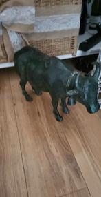 Bronze stier  50 cm laang  34 cm hoog, Enlèvement