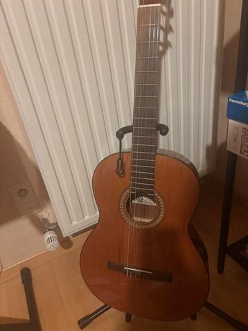 Gitaar salvador beschikbaar voor biedingen