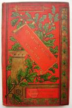 Les grandes Aventures de Bas de Cuir - 1893 - J.F. Cooper, Boeken, Ophalen of Verzenden, Gelezen, James Fenimore Cooper