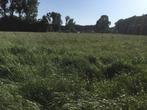 Gratis zavel, aanvulgrond leveren?, Ophalen