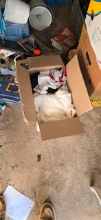 Lot vêtements, Enlèvement