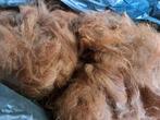Alpacawol, Dieren en Toebehoren