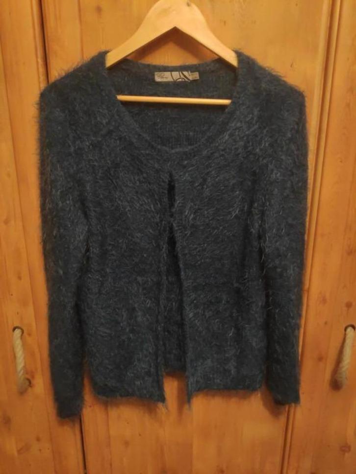 Blauwe fluffy trui D'Auvry Large, Kleding | Dames, Truien en Vesten, Zo goed als nieuw, Blauw, Ophalen of Verzenden