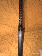 Matériel de peche pour silure., Enlèvement ou Envoi, Comme neuf, Canne à pêche complète