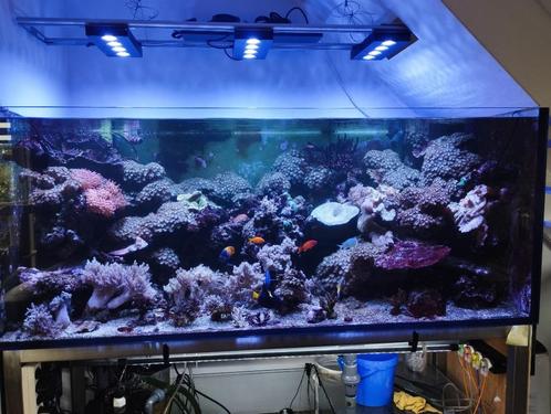 Zeewaterapparatuur voor aquariums, Dieren en Toebehoren, Vissen | Aquaria en Toebehoren, Zo goed als nieuw, Leeg aquarium, Ophalen of Verzenden