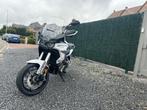 NIEUW: Rieju Xplora 557, Motoren, Rieju, 2 cilinders, Bedrijf, Overig
