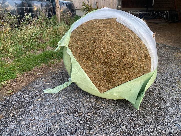 Prefané 2025, Articles professionnels, Agriculture | Aliments pour bétail, Enlèvement