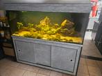 Aquarium 160cm, Dieren en Toebehoren, Ophalen