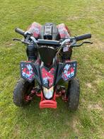 Quad electrique