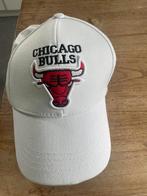 Pet Chicago Bulls, Comme neuf, Enlèvement ou Envoi