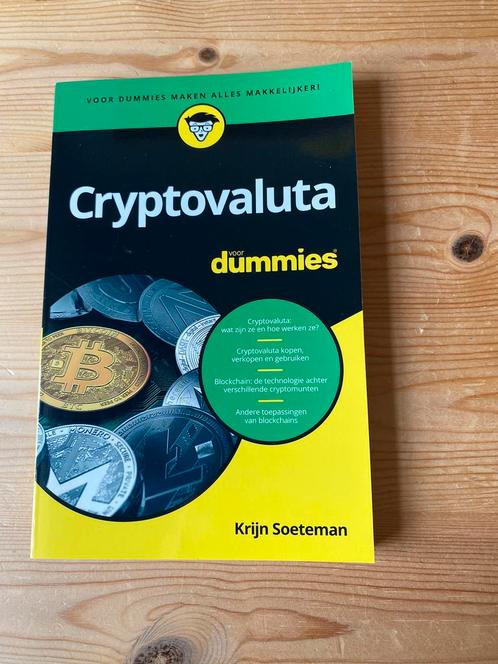 Cryptovaluta voor dummies, Livres, Économie, Management & Marketing, Comme neuf, Management, Enlèvement