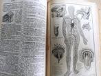 vintage Petit Larousse(1959)+nouveau dictionnaire(1896)illus, Antiek en Kunst, Ophalen of Verzenden