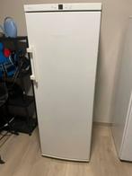 Diepvries Liebherr no frost, Elektronische apparatuur, Vriezers en Diepvrieskisten, Ophalen, Zo goed als nieuw