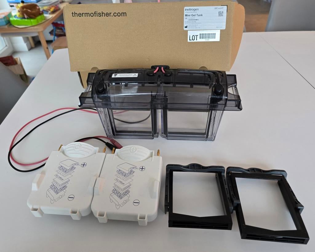 Mini Gel Tank Thermofisher, Invitrogen, Tuin en Terras, Kweekspullen, Ophalen of Verzenden