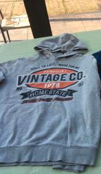 Sweater met kap - maat 170/176, Ophalen, Jongen of Meisje, Trui of Vest