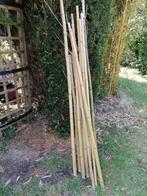 bamboe stokken, Ophalen, 180 tot 250 cm