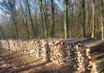 Bois de Chauffage, Jardin & Terrasse, Hêtre, Enlèvement ou Envoi, Bûches