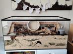 Hamster Terrarium met Schuifruiten – Ideaal voor Goudhamster, Minder dan 60 cm, Nieuw, Ophalen of Verzenden, Hok