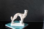 Whippet, greyhound, windhond,  Amicare Santini, signé., Collections, Collections Animaux, Chien ou Chat, Utilisé, Statue ou Figurine