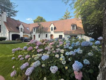 Bijverdienste renovatie beschikbaar voor biedingen