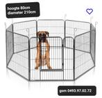 hondenren-puppyren vanaf 75€, Animaux & Accessoires, Maisons pour chiens, Enlèvement ou Envoi, Neuf