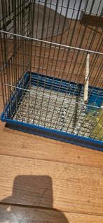 Cage pour chardonneret ou canaris, Animaux & Accessoires