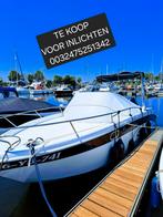 Saver 750 wa 2019 met motor van 2021



-Motor mercury 250pk, 6 meter of meer, Elektrisch, Zo goed als nieuw, Ophalen