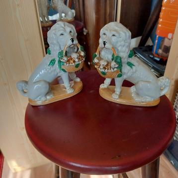 Honden met puppy's  beschikbaar voor biedingen