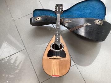 Mandoline, Enlèvement, Utilisé