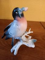 Karl ens, Enlèvement ou Envoi