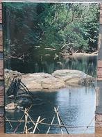 Nieuw - Boeken - De Stille Oceaan - Afrikaanse Evenaarswoud, Enlèvement ou Envoi, Neuf, Diverse auteurs, Autres sciences