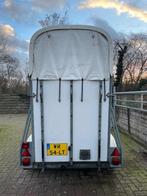 Heja 5 sterren trailer paardentrailer paard, Animaux & Accessoires, Polyester, Enlèvement, Utilisé, Remorque 1½ cheval