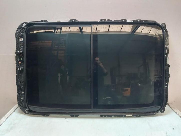 PANORAMADAK Volkswagen Tiguan (CT1) (01-2023/-), Auto-onderdelen, Carrosserie, Volkswagen, Gebruikt